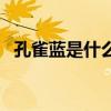 孔雀藍是什么顏色（孔雀藍適合什么膚色）