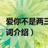 愛你不是兩三天原唱歌詞（愛你不是兩三天歌詞介紹）