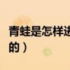 青蛙是怎樣進行呼吸的（青蛙是怎樣進行呼吸的）