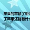 蘋果的蘋除了組詞蘋果還可以組什么詞（用“蘋”字組詞除了蘋果還能有什么）