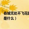 春城無處不飛花的下句是什么（“春城無處不飛花”的下句是什么）