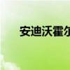 安迪沃霍爾（關于安迪沃霍爾的介紹）