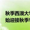秋季西澳大學MBA課程學生將于8月21日開始迎接秋季學期