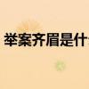 舉案齊眉是什么動物（舉案齊眉是什么意思）