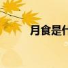 月食是什么詞（月食是什么意思）