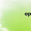 opt（關于opt的介紹）