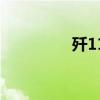 殲11（關于殲11的介紹）