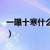 一曝十寒什么意思是什么（一曝十寒什么意思）