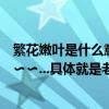 繁花嫩葉是什么意思（具體就是老師要求解釋詞語我有點暈??...具體就是老師要求解釋詞語我有點暈??）