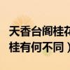 天香臺閣桂花是四季桂嗎（佛頂桂與天香臺閣桂有何不同）
