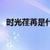 時光荏苒是什么歌（時光荏苒是什么意思）