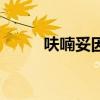 呋喃妥因（關于呋喃妥因的介紹）