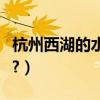 杭州西湖的水有多少（杭州西湖的水有多深啊?）