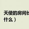 天使的房間長什么樣（《天使的房間》講述了什么）