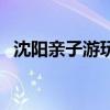 沈陽親子游玩（沈陽最近有哪些親子活動）