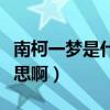 南柯一夢是什么意思呢（南柯一夢西是什么意思啊）