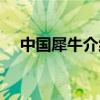 中國犀牛介紹（中國犀牛是如何分布的）