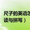 尺子的英語怎么讀語音朗讀（尺子的英語怎么讀與拼寫）