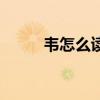 韋怎么讀（關于韋怎么讀的介紹）
