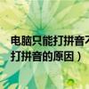 電腦只能打拼音不能打漢字怎么回事（電腦打不出漢字只能打拼音的原因）
