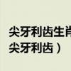 尖牙利齒生肖是什么生肖解釋（十二生肖那個尖牙利齒）