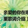 親愛的你在哪里歌曲原唱大全（親愛的你在哪里歌詞介紹）