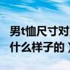 男t恤尺寸對照表（男生t恤尺碼對照表具體是什么樣子的）