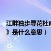 江畔獨步尋花杜甫古詩意思及注釋（杜甫的《江畔獨步尋花》是什么意思）
