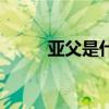 亞父是什么官（亞父是什么意思）