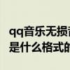 qq音樂無損音樂格式wav（QQ音樂無損音樂是什么格式的）