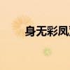 身無彩鳳雙飛翼（下一句什么來著）