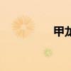 甲龍（關于甲龍的介紹）