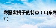 寒露蜜桃子的特點(山東寒露蜜桃有哪些特點?)