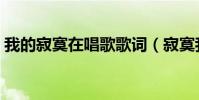 我的寂寞在唱歌歌詞(寂寞我就跳歌詞全文)