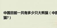 中國目前一共有多少只大熊貓(中國目前一共有多少只大熊貓?)