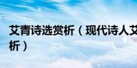 艾青詩選賞析(現代詩人艾青的《礁石》的賞析)