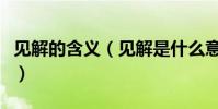 見解的含義(見解是什么意思見解是什么意思)
