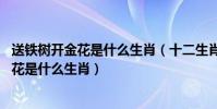 送鐵樹開金花是什么生肖(十二生肖天上生肖,鐵樹開花是金花是什么生肖)