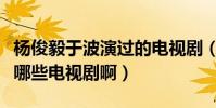 楊俊毅于波演過的電視劇(于波和楊俊毅演過哪些電視劇啊)