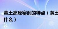 黃土高原窯洞的特點(黃土高原窯洞的特點是什么)