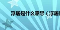 浮屠是什么意思(浮屠是什么意思)