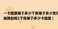 一卡路里等于多少千焦等于多少焦耳(卡路里和焦耳是怎樣換算的呢1千焦等于多少卡路里)