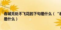 春城無處不飛花的下句是什么(“春城無處不飛花”的下句是什么)