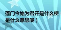 蓬門今始為君開是什么梗(蓬門今始為君開”是什么意思呢)