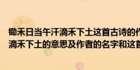 鋤禾日當午汗滴禾下土這首古詩的作者是誰(鋤禾日當午汗滴禾下土的意思及作者的名字和這首詩的名字)