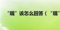 “哦”該怎么回答(“哦”該怎么組詞?)