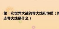 第一次世界大戰的導火線和性質(第一次世界大戰開始的標志導火線是什么)