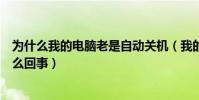 為什么我的電腦老是自動關機(我的電腦總是自動關機是怎么回事)