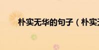 樸實無華的句子(樸實無華的意思)
