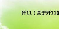 殲11(關于殲11的介紹)
